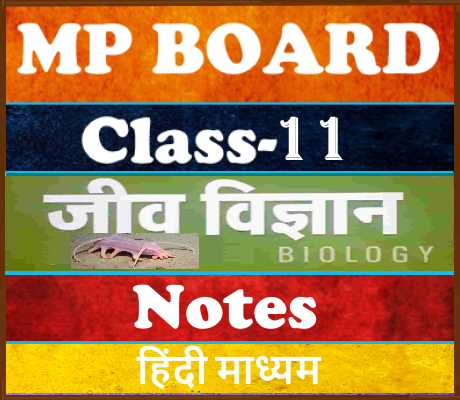 MP Board Class-11 जीव विज्ञान Biology Notes